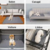 utilisation du tapis
