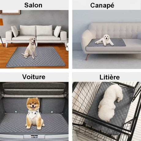 utilisation du tapis